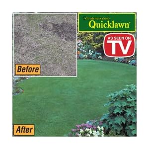 lawn grass seed