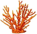 Ornament - Black Octopus Coral Xxl Orange