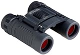 Photo : Silva Pocket Binoculars 8 x21