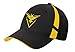Official Pokemon Go Emblem Trucker Baseball Cap (Team Valor, Mystic & Instinct)