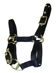 Hamilton  3/4" Adjustable Miniature Nylon Horse Halter, Black