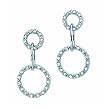 Double Loop Diamond Earrings