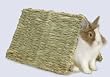 Peter's Woven Hinged Grass Mat