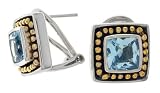 14K and Sterling Silver Blue Topaz Earrings