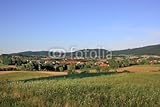 IMAGE OF Wallmonkeys Peel and Stick Wall Decals - Odenwald - 60