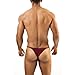 Joe Snyder Kini