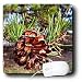 Flowers - Pine Cone - Mouse Pads Image