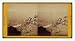 Stereoview (S): Point Reyes-Light House looking west / illustrated by Edw. J. Muybridge.