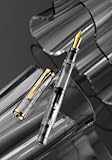 ペリカン【Pelikan】万年筆　限定品　クラシック　デモンストレーター　M200（ペン先：M）