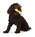 WEST PAW Zogoflex Hurley Dog Bone Chew Toy – Floatable Pet Toys for Aggressive Chewers, Catch, Fetch – Bright-Colored Bones for Dogs – Recyclable, Dishwasher-Safe, Non-Toxic, Small, Tangerine