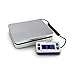 Royal DG110 Shipping/Postal Scale, 110 lb. Capacity