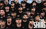 34-Inch-by-23-Inch Shins Poster