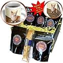 Dogs Corgi - Pembroke Welsh Corgi - Coffee Gift Baskets - Coffee Gift Basket
