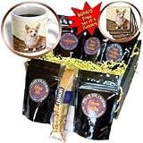 Dogs Corgi - Pembroke Welsh Corgi - Coffee Gift Baskets - Coffee Gift Basket