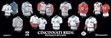 Cincinnati Reds Evolution Plaque