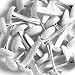 SUGAR COATED BRADS 25/PKG-LILY WHITE