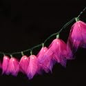 Natural Flower Lights - Fuchsia (Pink/Purple Tip)