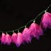 Natural Flower Lights - Fuchsia (Pink/Purple Tip)