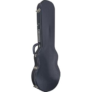 Ampeg ADA6 Guitar Case by