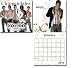 THE CHIPPENDALES 2010 COLOR 16 MONTH WALL CALENDAR 6006