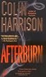 Afterburn: A Novel