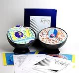Hubbard Scientific Plant & Animal Cell Model Activity Set
