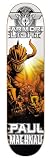 Sporting Goods : Darkstar Paul Machnau Shutter Series (Orange) Skateboard Deck - 7.9 Inch