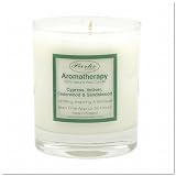 Parks(パークス) Aromatherapy フレグランスキャンドル CYPRESS, VETIVER, CEDARWOOD&SANDALWOOD　PKNW25