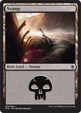 Magic: the Gathering - Swamp (258) - Khans of Tarkir