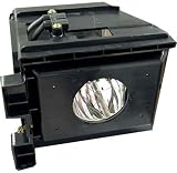 SAMSUNG OEM BP9600608A BP9606520A LAMP ASSEMBLY WITH HOUSING