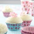 Shabby Chic Vintage Rose Cupcake Bun Cases Pack 100 great for Summer parties