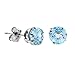 2 CT Blue Topaz Stud Earrings 14k White Gold title=