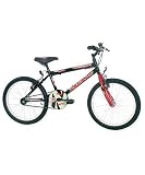 Review Universal Cycles  / 12