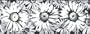 Girlie Girl Black and White Wallpaper Border in Brothers and Sisters