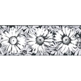 Girlie Girl Black and White Wallpaper Border in Brothers and Sisters