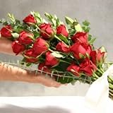 Two Dozen Premium Red Rose Bouquet