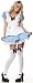 Alice Peasant Dress Adult Costume Image
