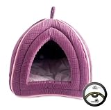 Review 40 Winks  / (40 Winks) Comfurt Luxury Cat Pyramid Corduroy (Damson/Pink) 16 x 14
