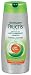 Garnier Fructis Dry Scalp Shampoo Anti-dandruff, 25.40-Fluid Ounce
