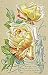 Embossed Floral Postcard Yellow Rose Infidelity
