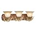 Vaxcel International Lighting Vanity