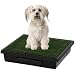 The Pet Loo Original Indoor Yard Training System for Dogs & Cats, Large, Large, Color:Green
