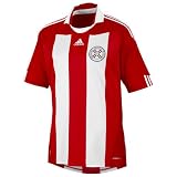 Paraguay 1011 Home Soccer Jersey