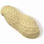 Peanuts in Shell