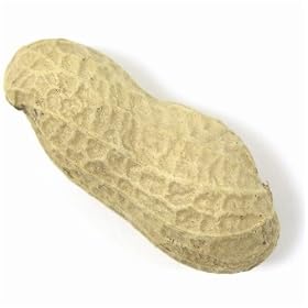 Peanuts in Shell