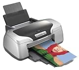 EPSON Stylus Photo R800 printer