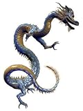 Chinese Blue Dragon - 18