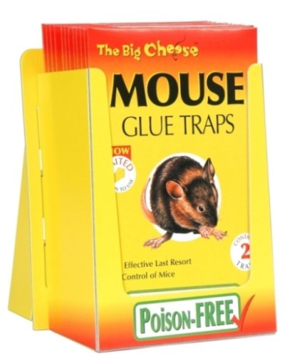 Childrens Toyshop  Outdoor Living : The Big Cheese - Mouse Glue Trap x 2