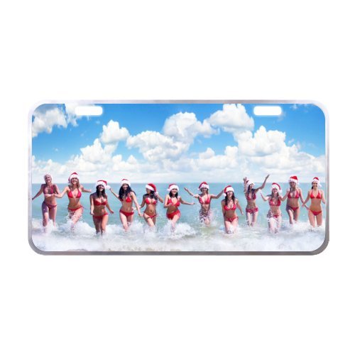 11.8″ X 6.1″ Joyful Merry Christmas Metal Car Tag License Plate Along with Superb Quality Silver Trim