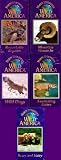 Marty Stouffer`s Wild America - Set of 5 Videos